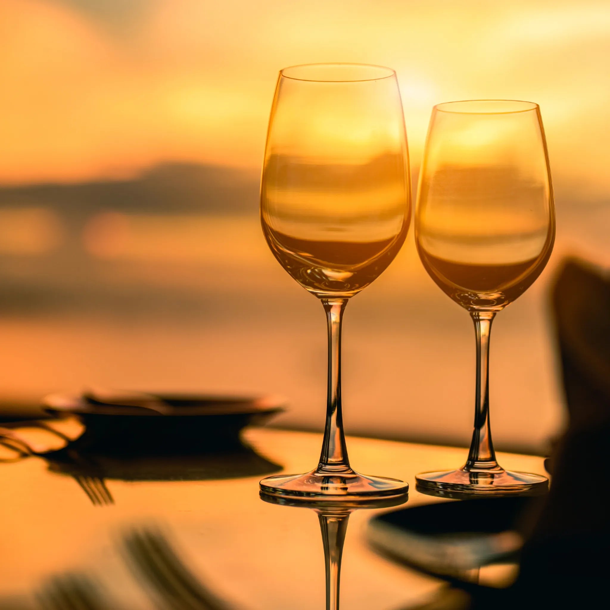 La temperatura perfecta para disfruta del vino | Blog Cepas Nobles