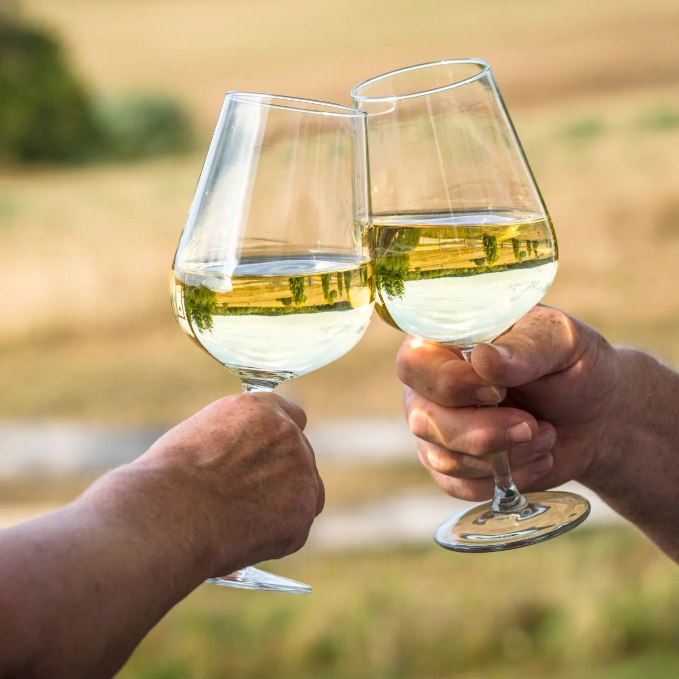 Pack de Vinos Blancos | Frescura y elegancia en cada copa