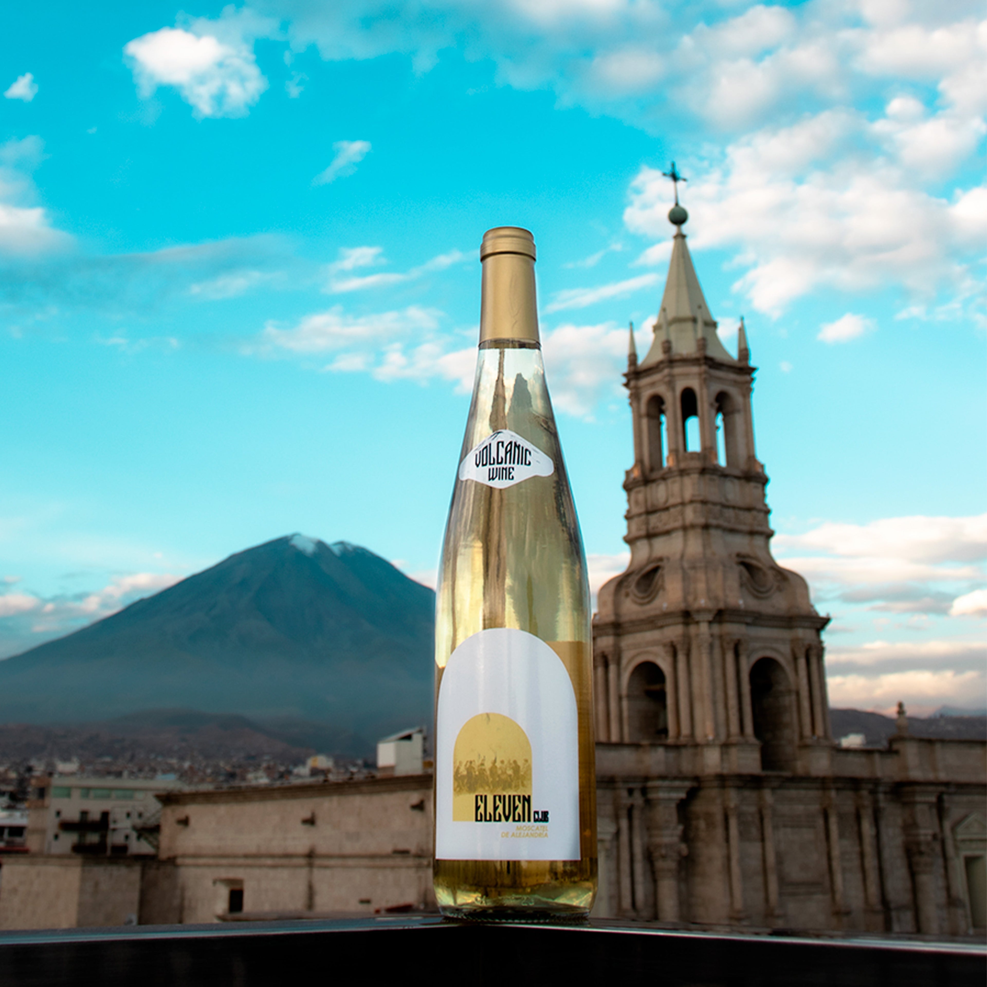 Vinos de altura: El secreto del terroir peruano | Blog Cepas Nobles