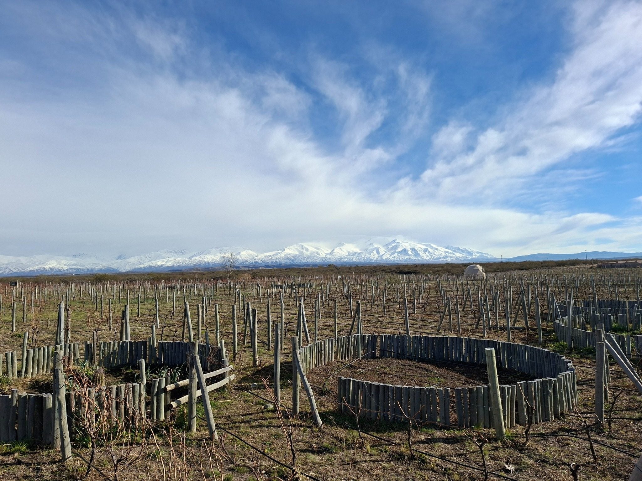 Nunca visites las bodegas de los Michelini | Blog Cepas Nobles