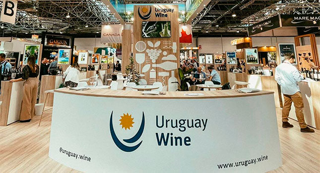 Uruguay: el pequeño gigante del vino sudamericano | Blog Cepas Nobles